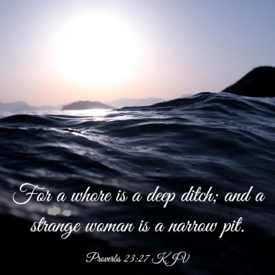 Picture 03 - Proverbs 23:27 KJV - For a whore is a deep ditch; and a strange woman - Bible Verse Picture