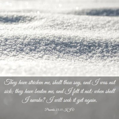 Picture 03 - Proverbs 23:35 KJV - They have stricken me, shalt thou say, and I was - Bible Verse Picture