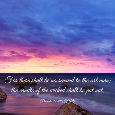 Picture 03 - Proverbs 24:20 KJV - For there shall be no reward to the evil man; the - Bible Verse Picture