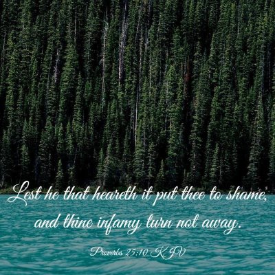 Picture 03 - Proverbs 25:10 KJV - Lest he that heareth it put thee to shame, and - Bible Verse Picture