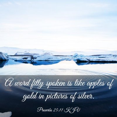 Picture 03 - Proverbs 25:11 KJV - A word fitly spoken is like apples of gold in - Bible Verse Picture