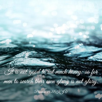Picture 03 - Proverbs 25:27 KJV - It is not good to eat much honey: so for men to - Bible Verse Picture