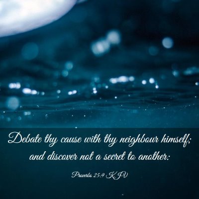 Picture 03 - Proverbs 25:9 KJV - Debate thy cause with thy neighbour himself; and - Bible Verse Picture