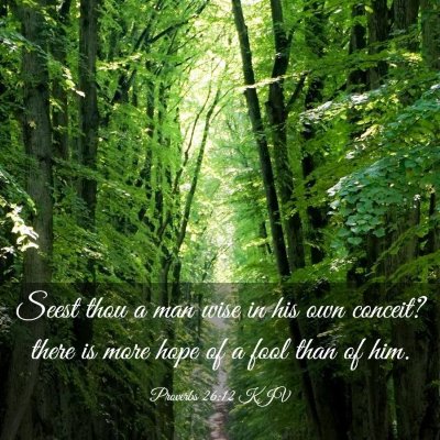 Picture 03 - Proverbs 26:12 KJV - Seest thou a man wise in his own conceit? there - Bible Verse Picture