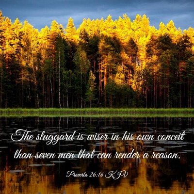 Picture 03 - Proverbs 26:16 KJV - The sluggard is wiser in his own conceit than - Bible Verse Picture