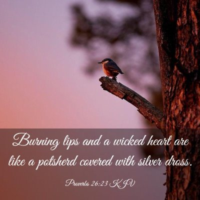 Picture 03 - Proverbs 26:23 KJV - Burning lips and a wicked heart are like a - Bible Verse Picture
