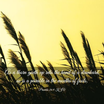 Picture 03 - Proverbs 26:9 KJV - As a thorn goeth up into the hand of a drunkard, - Bible Verse Picture