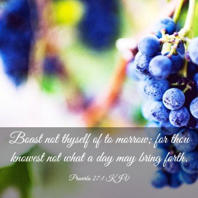 Picture 03 - Proverbs 27:1 KJV - Boast not thyself of to morrow; for thou knowest - Bible Verse Picture