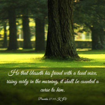 Picture 03 - Proverbs 27:14 KJV - He that blesseth his friend with a loud voice, - Bible Verse Picture