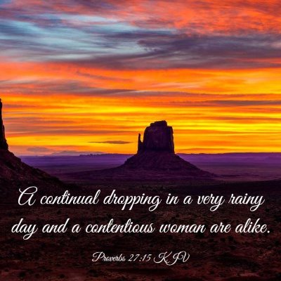 Picture 03 - Proverbs 27:15 KJV - A continual dropping in a very rainy day and a - Bible Verse Picture