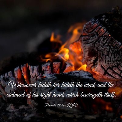 Picture 03 - Proverbs 27:16 KJV - Whosoever hideth her hideth the wind, and the - Bible Verse Picture