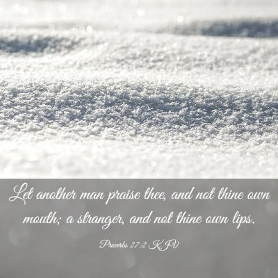 Picture 03 - Proverbs 27:2 KJV - Let another man praise thee, and not thine own - Bible Verse Picture