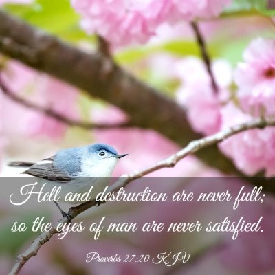 Picture 03 - Proverbs 27:20 KJV - Hell and destruction are never full; so the eyes - Bible Verse Picture