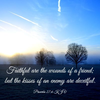 Picture 03 - Proverbs 27:6 KJV - Faithful are the wounds of a friend; but the - Bible Verse Picture