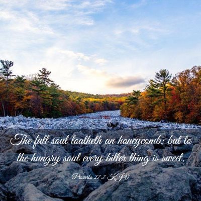 Picture 03 - Proverbs 27:7 KJV - The full soul loatheth an honeycomb; but to the - Bible Verse Picture