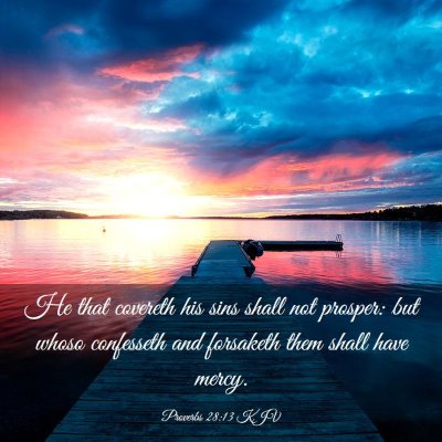 Picture 03 - Proverbs 28:13 KJV - He that covereth his sins shall not prosper: but - Bible Verse Picture