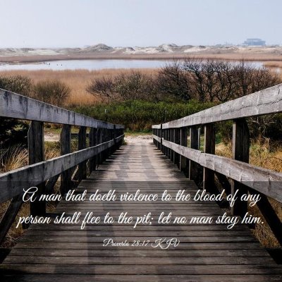 Picture 03 - Proverbs 28:17 KJV - A man that doeth violence to the blood of any - Bible Verse Picture