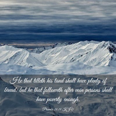 Picture 03 - Proverbs 28:19 KJV - He that tilleth his land shall have plenty of - Bible Verse Picture