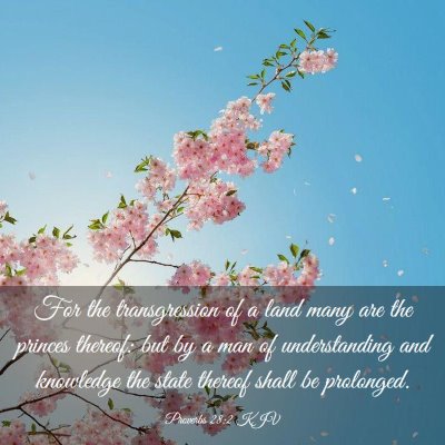 Picture 03 - Proverbs 28:2 KJV - For the transgression of a land many are the - Bible Verse Picture