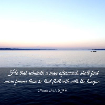 Picture 03 - Proverbs 28:23 KJV - He that rebuketh a man afterwards shall find more - Bible Verse Picture