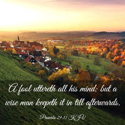 Picture 03 - Proverbs 29:11 KJV - A fool uttereth all his mind: but a wise man - Bible Verse Picture