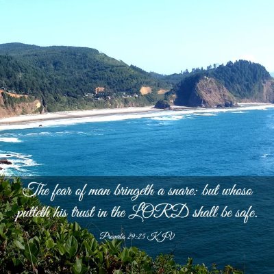 Picture 03 - Proverbs 29:25 KJV - The fear of man bringeth a snare: but whoso - Bible Verse Picture
