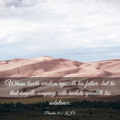 Picture 03 - Proverbs 29:3 KJV - Whoso loveth wisdom rejoiceth his father: but he - Bible Verse Picture