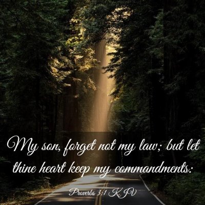 Picture 03 - Proverbs 3:1 KJV - My son, forget not my law; but let thine heart - Bible Verse Picture