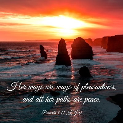 Picture 03 - Proverbs 3:17 KJV - Her ways are ways of pleasantness, and all her - Bible Verse Picture