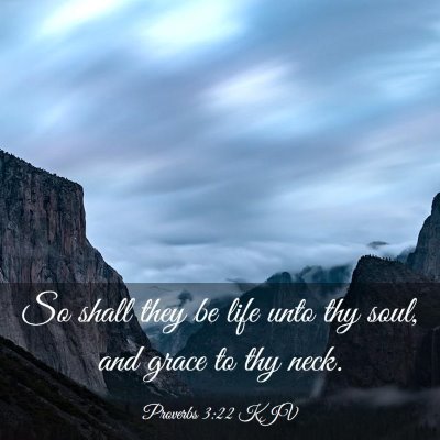 Picture 03 - Proverbs 3:22 KJV - So shall they be life unto thy soul, and grace to - Bible Verse Picture