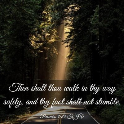Picture 03 - Proverbs 3:23 KJV - Then shalt thou walk in thy way safely, and thy - Bible Verse Picture