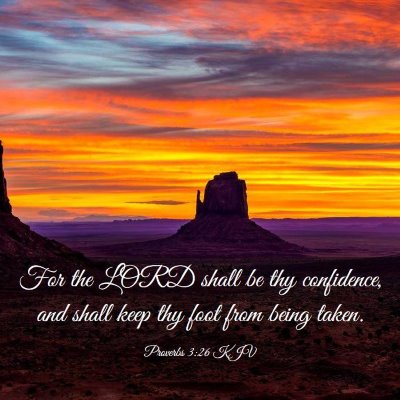 Picture 03 - Proverbs 3:26 KJV - For the LORD shall be thy confidence, and shall - Bible Verse Picture