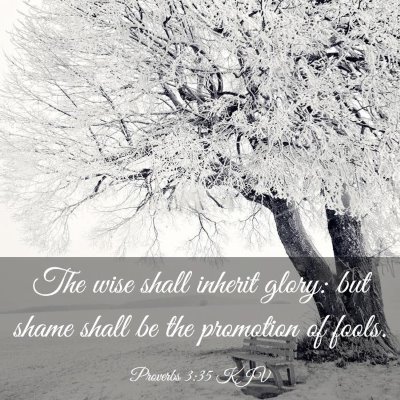 Picture 03 - Proverbs 3:35 KJV - The wise shall inherit glory: but shame shall be - Bible Verse Picture