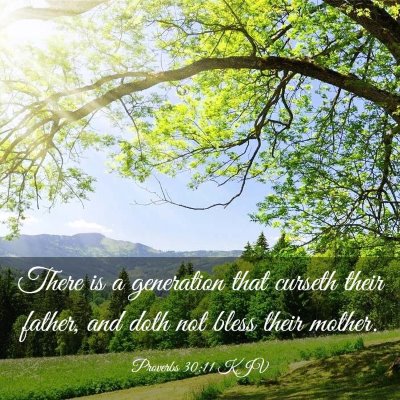 Picture 03 - Proverbs 30:11 KJV - There is a generation that curseth their father, - Bible Verse Picture