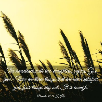 Picture 03 - Proverbs 30:15 KJV - The horseleach hath two daughters, crying, Give, - Bible Verse Picture