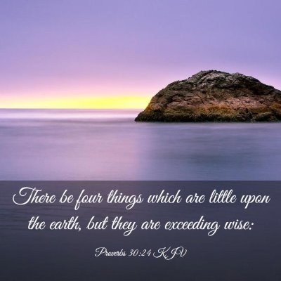 Picture 03 - Proverbs 30:24 KJV - There be four things which are little upon the - Bible Verse Picture