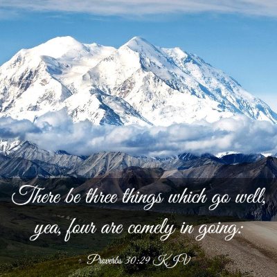 Picture 03 - Proverbs 30:29 KJV - There be three things which go well, yea, four - Bible Verse Picture