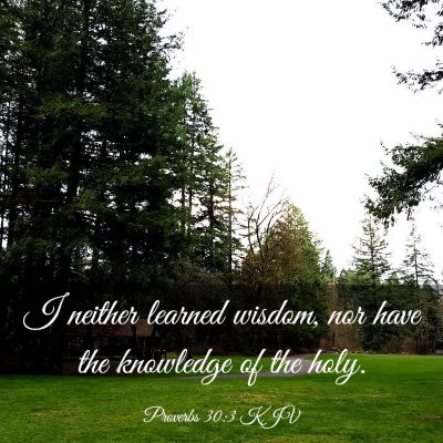 Picture 03 - Proverbs 30:3 KJV - I neither learned wisdom, nor have the knowledge - Bible Verse Picture