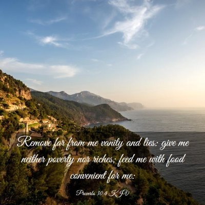 Picture 03 - Proverbs 30:8 KJV - Remove far from me vanity and lies: give me - Bible Verse Picture