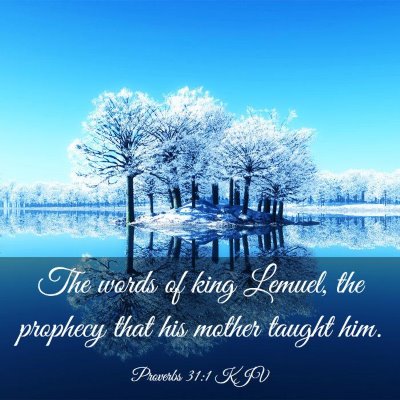 Picture 03 - Proverbs 31:1 KJV - The words of king Lemuel, the prophecy that his - Bible Verse Picture