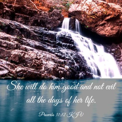 Picture 03 - Proverbs 31:12 KJV - She will do him good and not evil all the days of - Bible Verse Picture