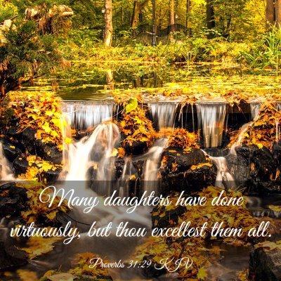 Picture 03 - Proverbs 31:29 KJV - Many daughters have done virtuously, but thou - Bible Verse Picture