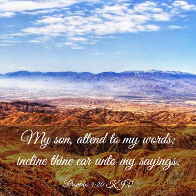 Picture 03 - Proverbs 4:20 KJV - My son, attend to my words; incline thine ear - Bible Verse Picture