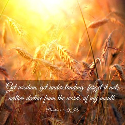 Picture 03 - Proverbs 4:5 KJV - Get wisdom, get understanding: forget it not; - Bible Verse Picture