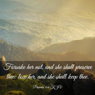 Picture 03 - Proverbs 4:6 KJV - Forsake her not, and she shall preserve thee: - Bible Verse Picture