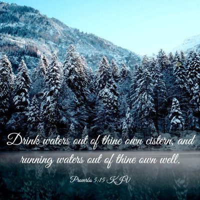 Picture 03 - Proverbs 5:15 KJV - Drink waters out of thine own cistern, and - Bible Verse Picture