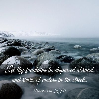 Picture 03 - Proverbs 5:16 KJV - Let thy fountains be dispersed abroad, and rivers - Bible Verse Picture