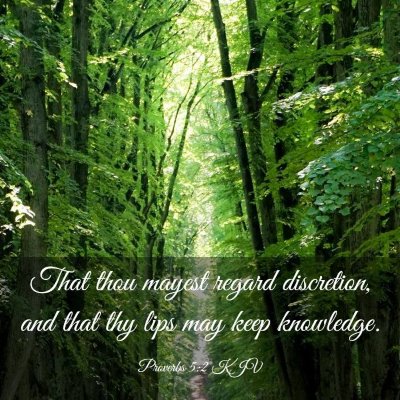 Picture 03 - Proverbs 5:2 KJV - That thou mayest regard discretion, and that thy - Bible Verse Picture