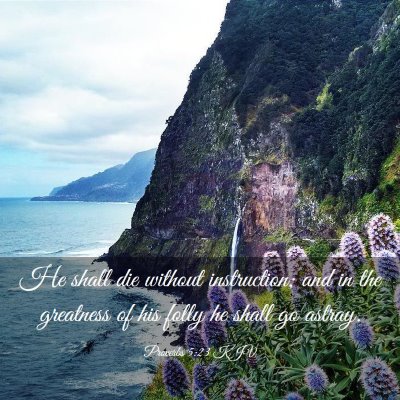 Picture 03 - Proverbs 5:23 KJV - He shall die without instruction; and in the - Bible Verse Picture