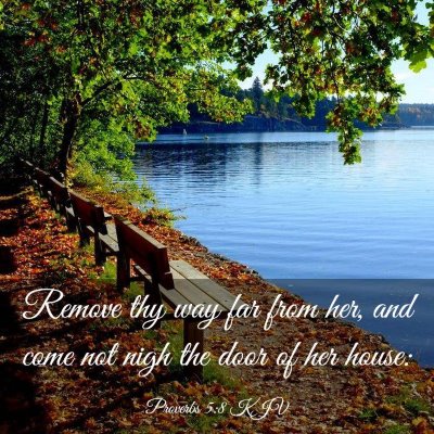 Picture 03 - Proverbs 5:8 KJV - Remove thy way far from her, and come not nigh - Bible Verse Picture